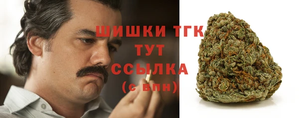 МДПВ Каменногорск