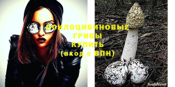 МДПВ Каменногорск
