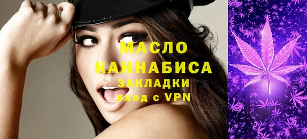 МДПВ Каменногорск