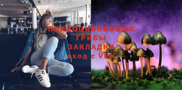 МДПВ Каменногорск