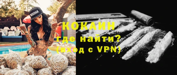 МДПВ Каменногорск