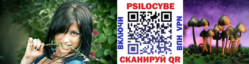 Псилоцибиновые грибы Psilocybe  Купить  Коммунар 